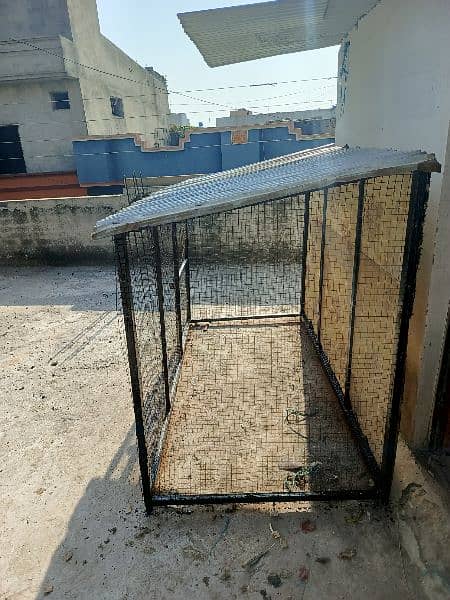 hen cage for sale pinjra 1