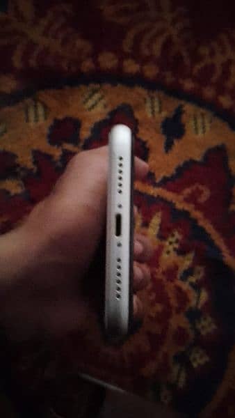 iPhone 11 non pta 4