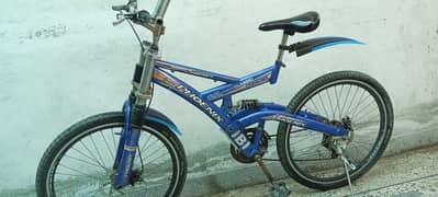 Phoenix Bicycle For Sale