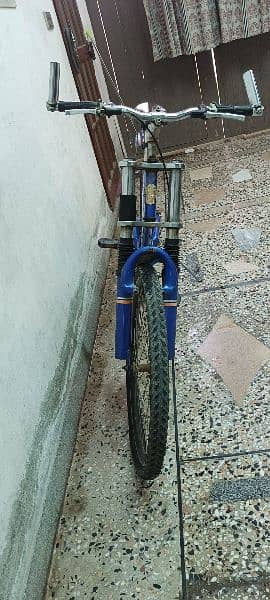 Phoenix Bicycle For Sale 1