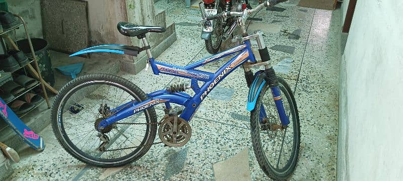 Phoenix Bicycle For Sale 4