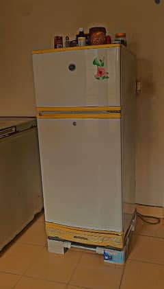 Pel fridge for sale