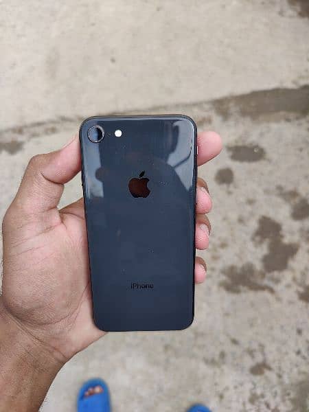 Iphone 8 / Non Pta 7