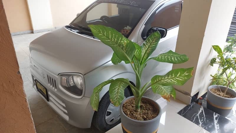 Suzuki Alto 2019 3