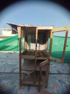 Hen cage for sale pinjra big size