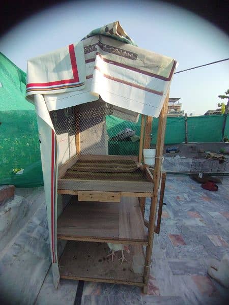 Hen cage for sale pinjra big size 1