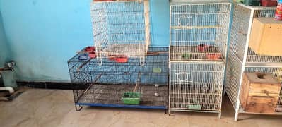 single portion folding cages available for sale