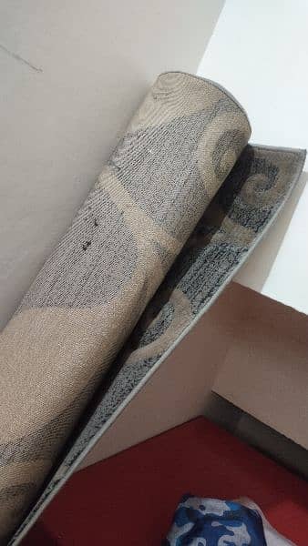 carpet/ Rug for Sale 1