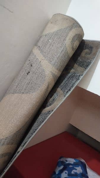 carpet/ Rug for Sale 3