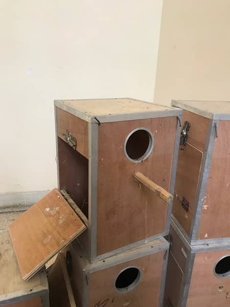 High Quality Breeding box ( Urgent Sale) 1