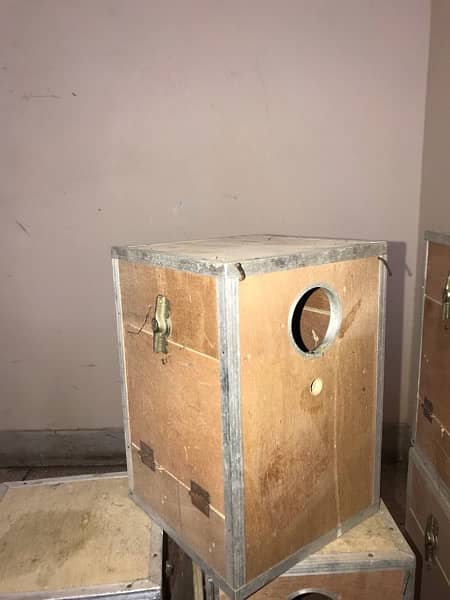 High Quality Breeding box ( Urgent Sale) 3