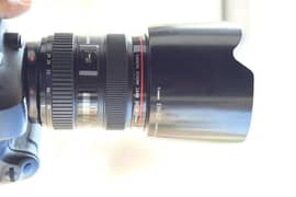 Cannon 24/70 L 2.8 usm