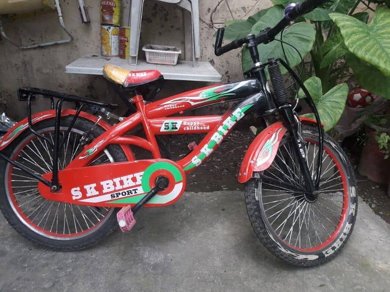 SK Bike Bicycle 2