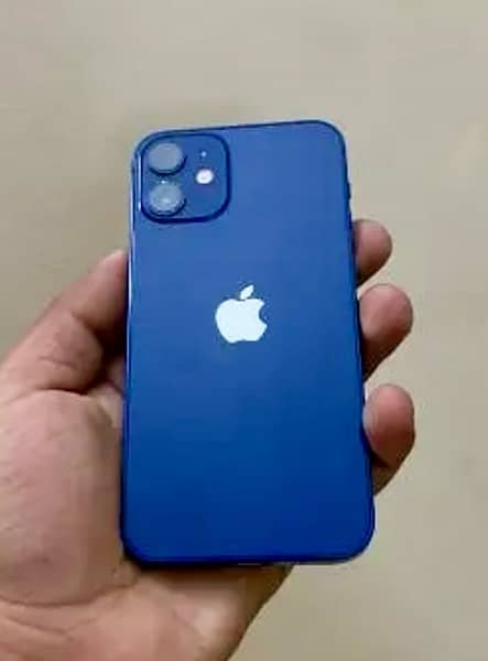 iPhone 12 mini 10by 10 0