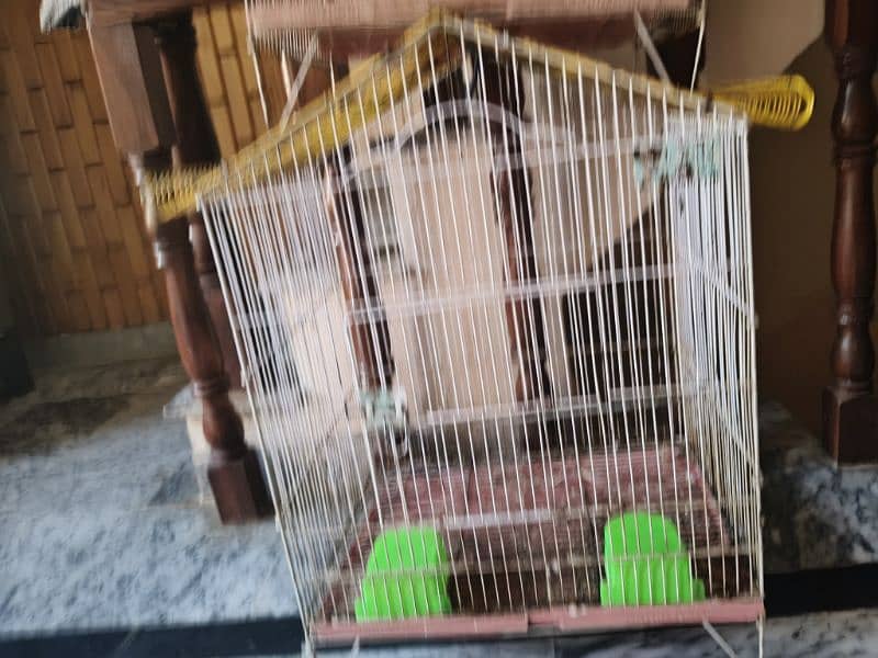 birds cage/pinjra 1