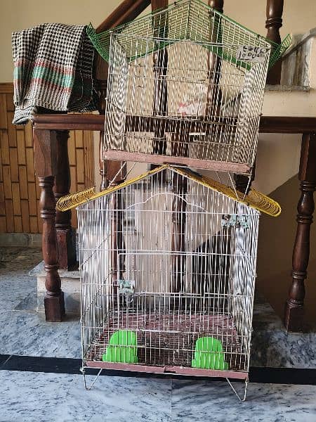 birds cage/pinjra 4