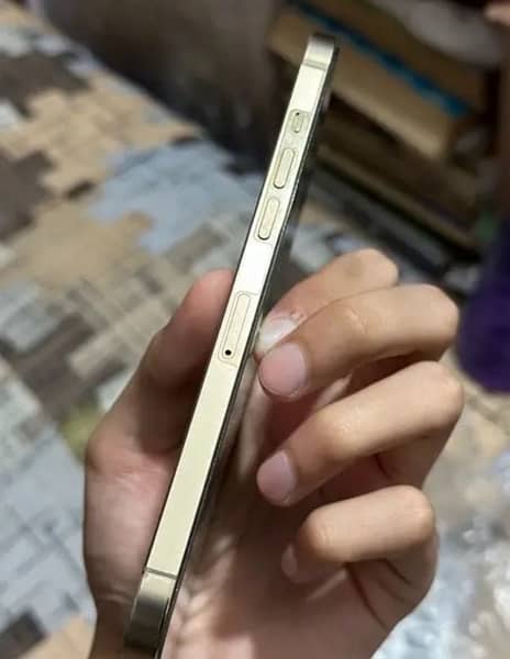 I phone 12 pro max 128 pta approved 2