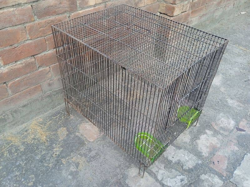 Cage for Birds 1