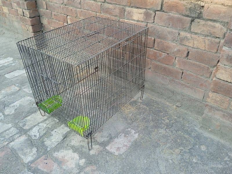 Cage for Birds 2