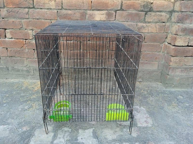 Cage for Birds 5