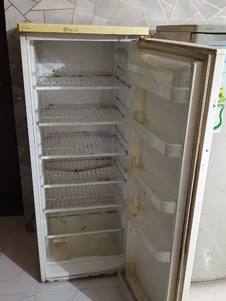 Vertical Fridge 1