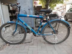 Blue Coloured Sports Bicycle with Stickering , Large Size Cycle ,