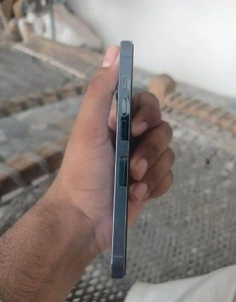 iphone 13 pro panel changed 1