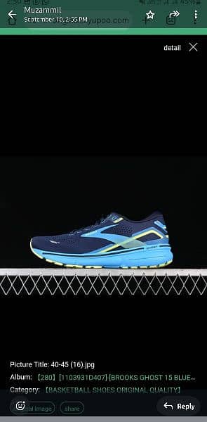 brooks shoes 1