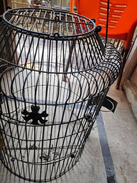 grey parrot cage 4