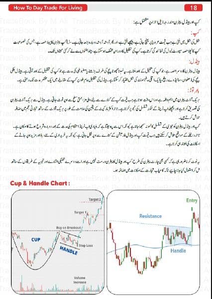 How to Day Trade for a Living Book Urdu & English | O336OO45OOO 3