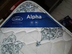 Celeste Flipable Mattress (Lowest Price) 0