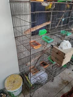 cages for love bird, bajri and cocktail