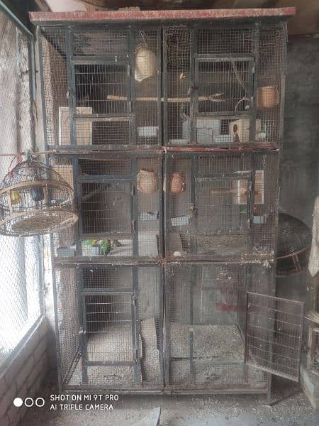 Parrots,Pigeons cages 0