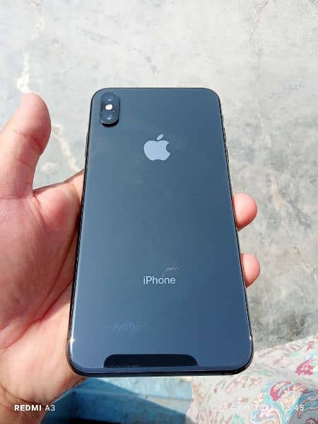 XS Max 1