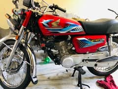 Honda 125 red 2024 modle