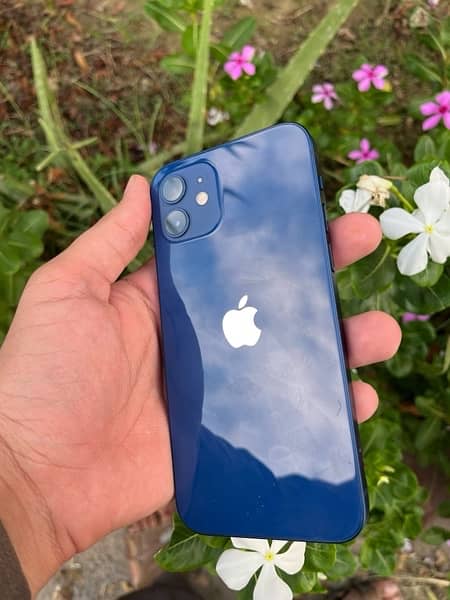 Apple iphone 12 JV 64 Gb 99% BH 9