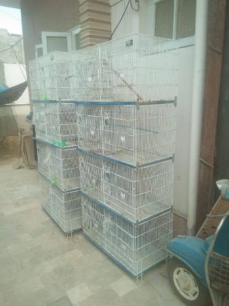 Aliyan Birds Cage 1