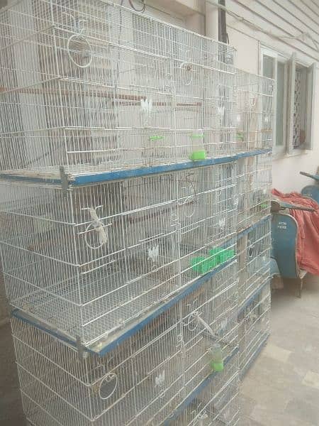 Aliyan Birds Cage 2