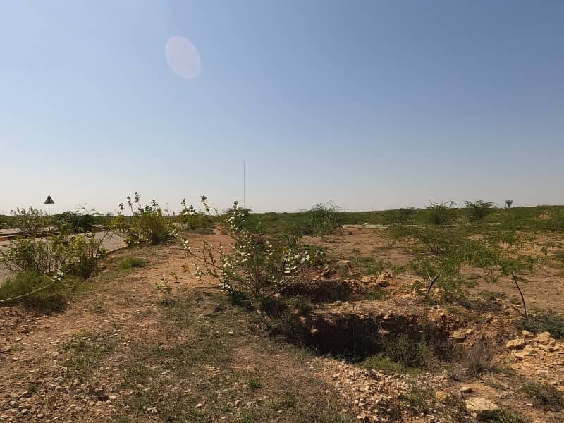 Stunning And Affordable Prime Location Residential Plot Available For Sale In DHA City - Sector 11B 1