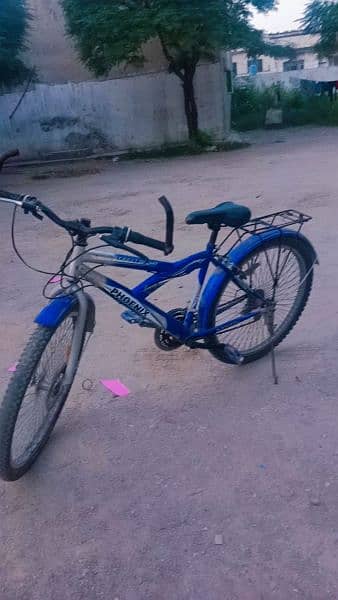 Bicycle For Sale 2