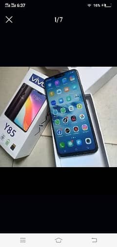 vivo