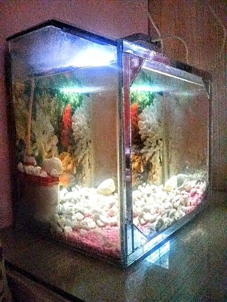 fish Complete equariam for sale 03163402885 4