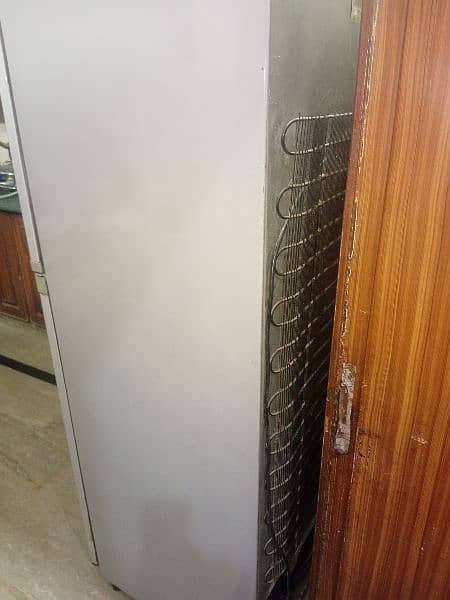 orient large refrigerator 5