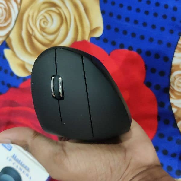 Ergonomic Mouse 1