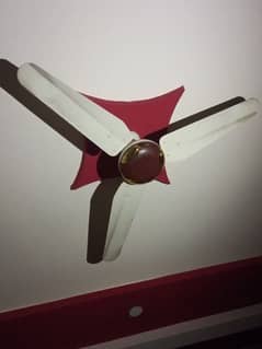 Orient Ceiling Fan