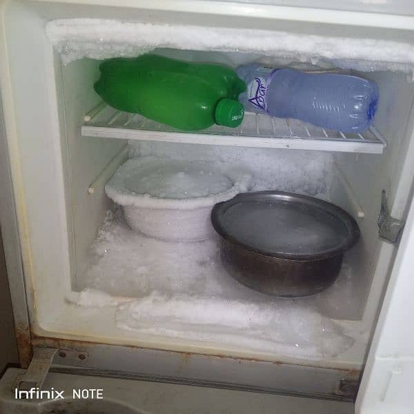 Freezer 1