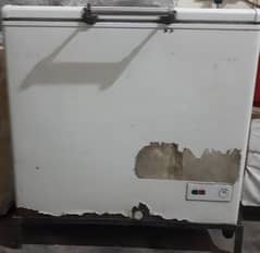 Commercial Freezer Single Compressor