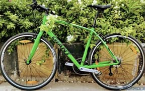 Giant Ecape Urgent For Sale | Giant Cycles | Bicycles