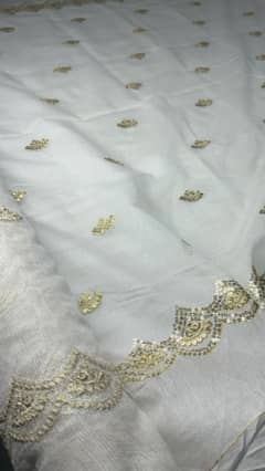 net embroidered dyeable Duppata 0