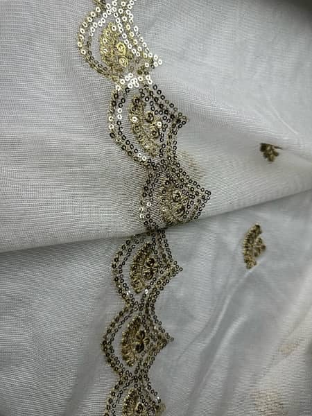 net embroidered dyeable Duppata 3